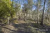 305 Tinderbox Road, Tinderbox, Tas 7054-Image