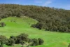 305 Youngs Lane, Tooborac, Vic 3522-Image