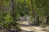 30A Wilson Drive, Agnes Water, Qld 4677