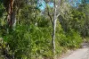 30A Wilson Drive, Agnes Water, Qld 4677-Image