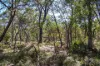 30A Wilson Drive, Agnes Water, Qld 4677-Image