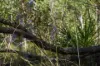 30A Wilson Drive, Agnes Water, Qld 4677-Image