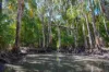 30A Wilson Drive, Agnes Water, Qld 4677-Image