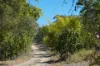 30A Wilson Drive, Agnes Water, Qld 4677-Image