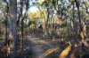 31 Centre Road, Walmer, Vic 3463-Image