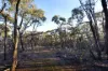 31 Centre Road, Walmer, Vic 3463-Image