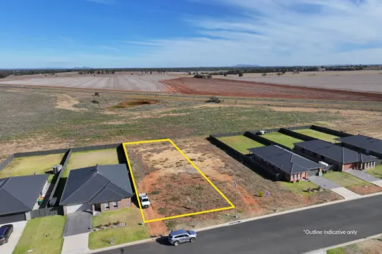 31 Federation Boulevard, Forbes, NSW 2871