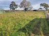 31 Greenslopes Avenue, Mansfield, Vic 3722-Image