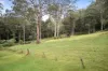 31 Karwin Avenue, Springfield, NSW 2250-Image