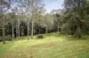 31 Karwin Avenue, Springfield, NSW 2250-Image