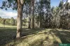 31 Lawrey Road, Kinglake, Vic 3763-Image