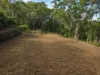 31 Mansfield Road, Galston, NSW 2159