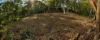 31 Mansfield Road, Galston, NSW 2159-Image