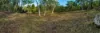 31 Mansfield Road, Galston, NSW 2159-Image