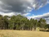 31 Marks Crescent, Oberon, NSW 2787-Image
