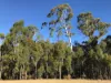 31 Marks Crescent, Oberon, NSW 2787-Image