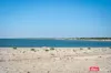 31 One and All Drive, Cape Jaffa, SA 5275-Image