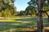 31 Smythe Street, Skipton, Vic 3361-Image