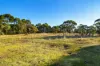 31 Smythe Street, Skipton, Vic 3361-Image