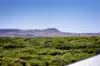 31 Wanderer Concourse, Wandina, WA 6530-Image