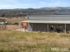 313 Hawkins Road, Coulson, Qld 4310-Image