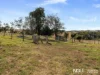 313 Hawkins Road, Coulson, Qld 4310-Image