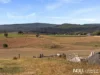 313 Hawkins Road, Coulson, Qld 4310-Image
