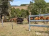 313 Hawkins Road, Coulson, Qld 4310-Image