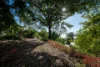 314 Mandalay Road, Mandalay, Qld 4802-Image