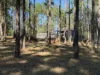 32 Arborseven Road, Glenwood, Qld 4570-Image