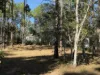 32 Arborseven Road, Glenwood, Qld 4570-Image