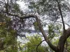 32 Blue Waters Crescent, Macleay Island, Qld 4184-Image