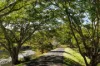 32 Corniche Place, Brookfield, Qld 4069-Image