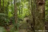 32 Elsa Court, Peachester, Qld 4519-Image