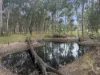 32 Falls Road, Esk, Qld 4312-Image