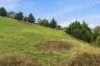 32 Old Coast Road, Don, Tas 7310-Image