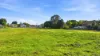 32 Oliver Street, Grafton, NSW 2460-Image
