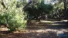 32 Thriptomene Street, Loch Sport, Vic 3851-Image
