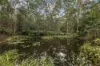 320-380 Sunrise Road, Doonan, Qld 4562-Image
