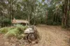 320-380 Sunrise Road, Doonan, Qld 4562-Image