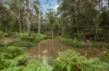 320-380 Sunrise Road, Doonan, Qld 4562-Image