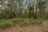 320-380 Sunrise Road, Doonan, Qld 4562-Image
