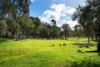 320 Boundary Gully Road, Werona, Vic 3364-Image