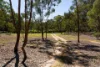 320 Boundary Gully Road, Werona, Vic 3364-Image