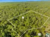 322 Edelsten Road, Jimboomba, Qld 4280-Image