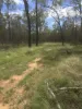 324 Lucky Road, Tara, Qld 4421-Image