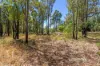 325 Princess Road, Mount Helena, WA 6082-Image