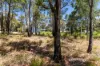 325 Princess Road, Mount Helena, WA 6082-Image
