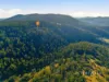 329 Horners Road, Elderslie, Tas 7030-Image