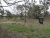 33-35 Bell St, Beulah, Vic 3395